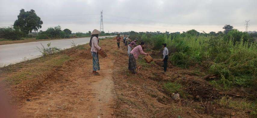 အရိပ်ရသစ်ပင်များစိုက်ပျိုးခြင်း ၂