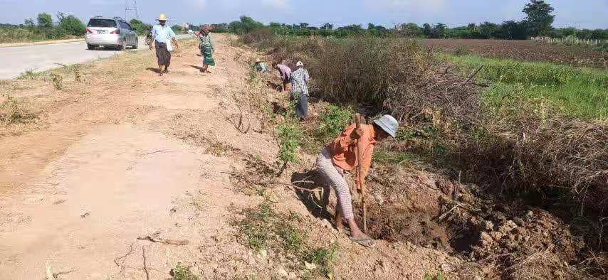 အရိပ်ရသစ်ပင်များစိုက်ပျိုးခြင်း ၄