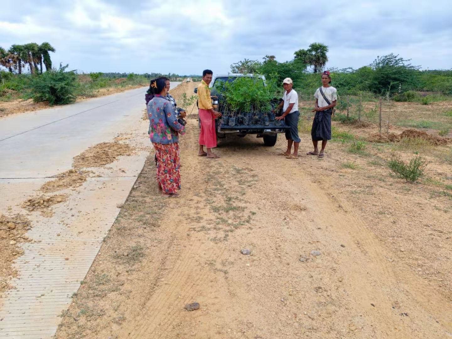 အရိပ်ရသစ်ပင်များစိုက်ပျိုးခြင်း ၅
