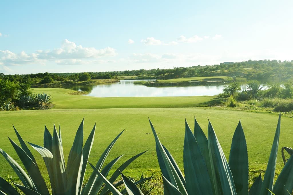 Scenic view of golf course