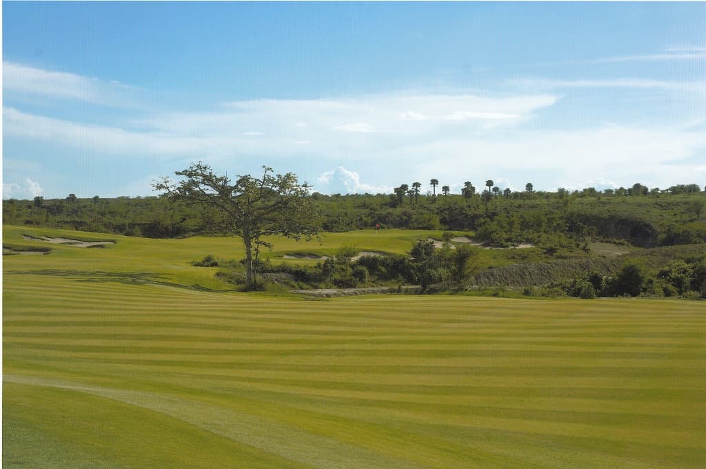 Wide view of golf course fairway