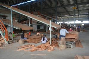 Operation and under construction factories phase 1A image 5