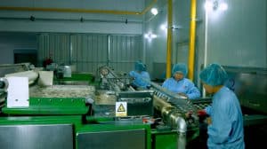 Operation and under construction factories phase 1A image 14