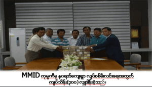 Village Electricity Development image 2
