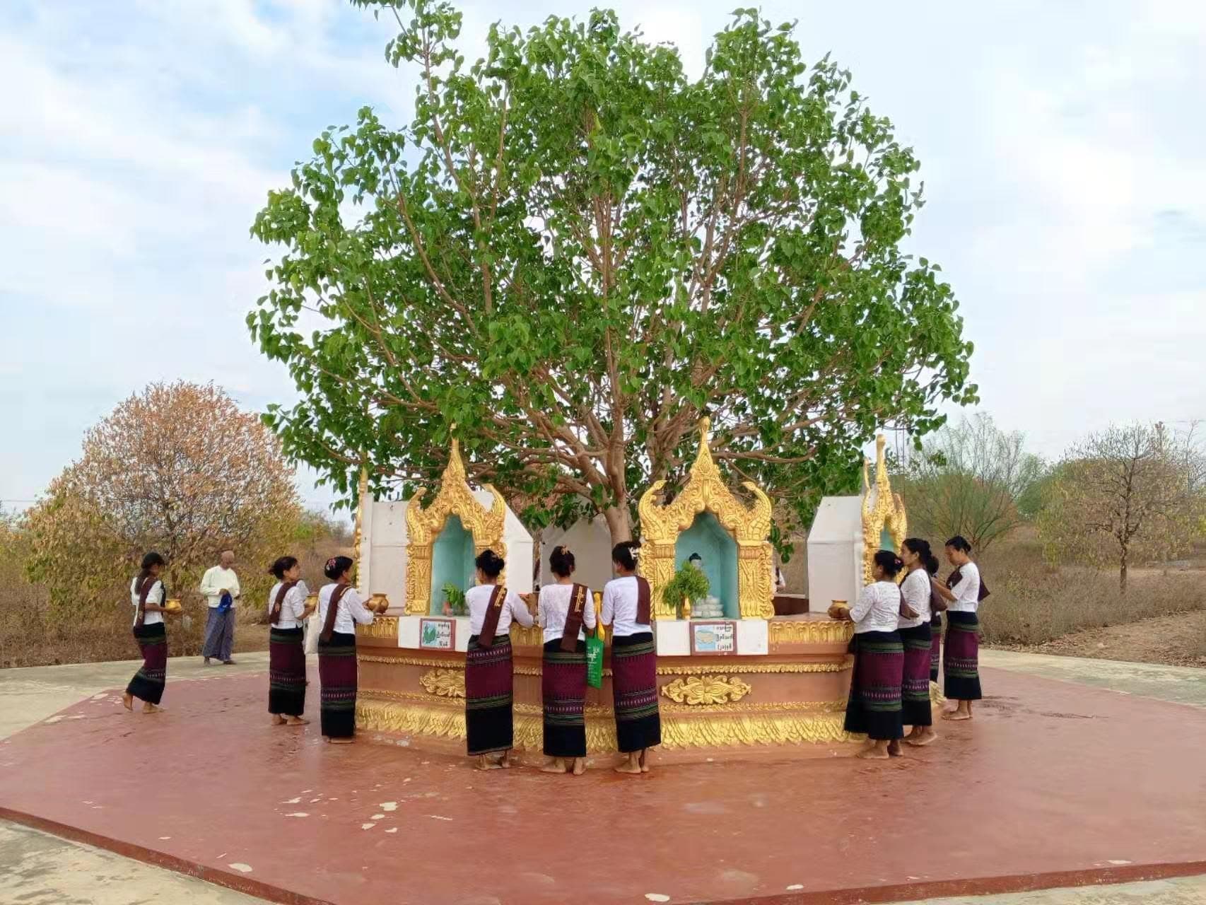 ဒေသခံပြည်သူများဘုရားဖူးလာရောက်ခြင်း ။ image 1