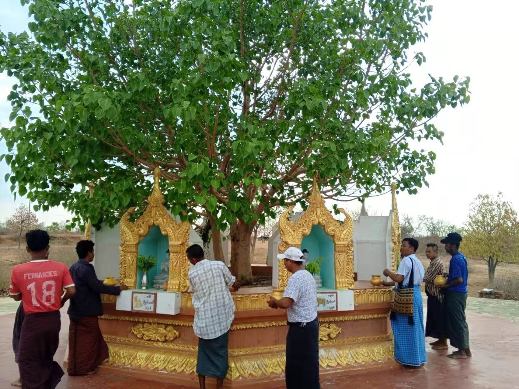 ဒေသခံပြည်သူများဘုရားဖူးလာရောက်ခြင်း ။ image 3